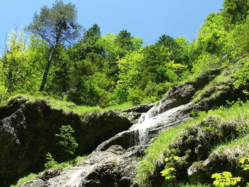 Gasthof Pension Alpenblick Radfeld Bagian luar foto